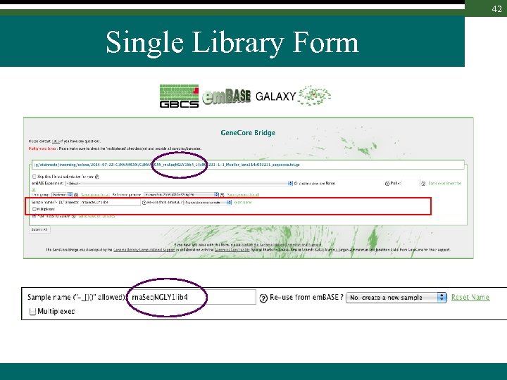 42 Single Library Form 