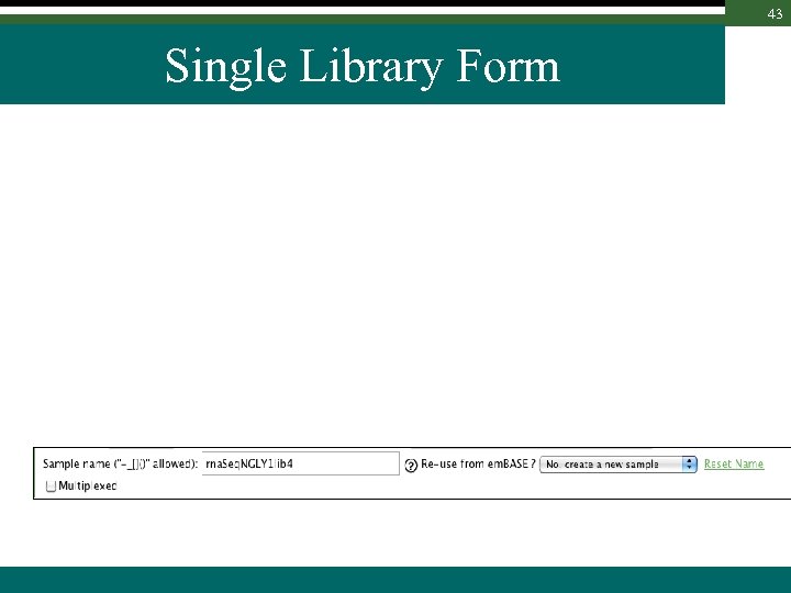 43 Single Library Form 