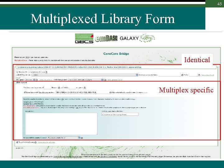 45 Multiplexed Library Form Identical Multiplex specific 