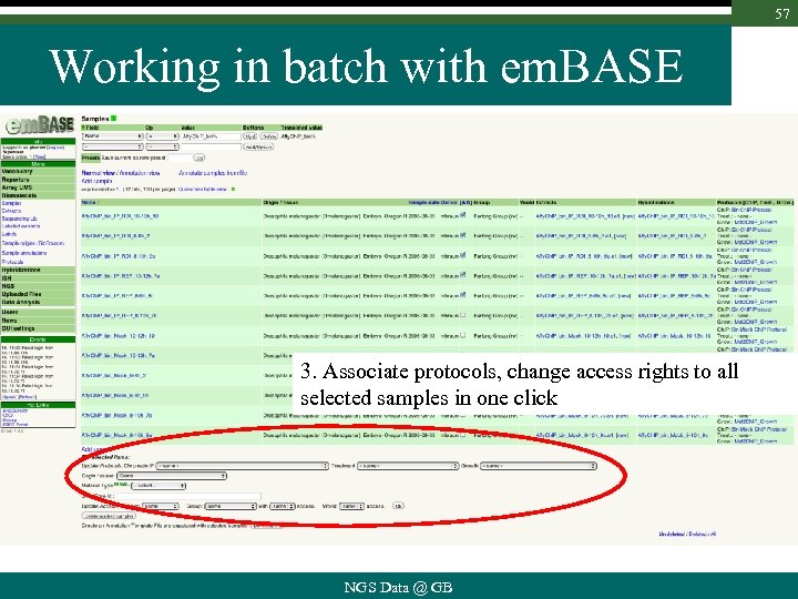 57 Working in batch with em. BASE 3. Associate protocols, change access rights to