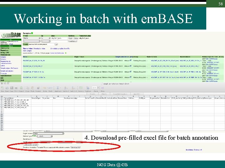 58 Working in batch with em. BASE 4. Download pre-filled excel file for batch