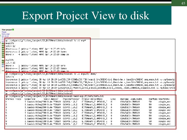 65 Export Project View to disk 