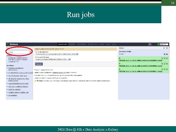 74 Run jobs NGS Data @ GB : : Data Analysis : : Galaxy