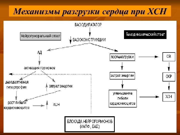 Механизмы разгрузки сердца при ХСН 