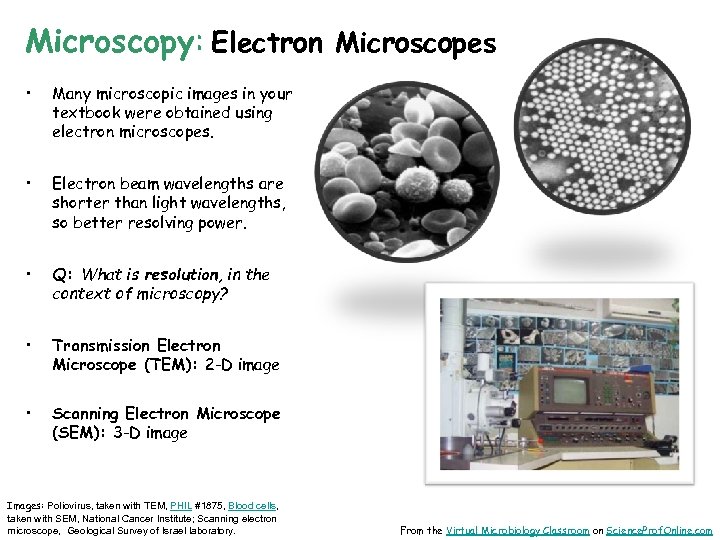 Microscopy: Electron Microscopes • Many microscopic images in your textbook were obtained using electron