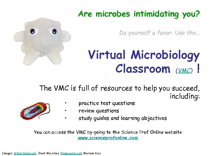 Are microbes intimidating you? Do yourself a favor. Use the… Virtual Microbiology Classroom (VMC)