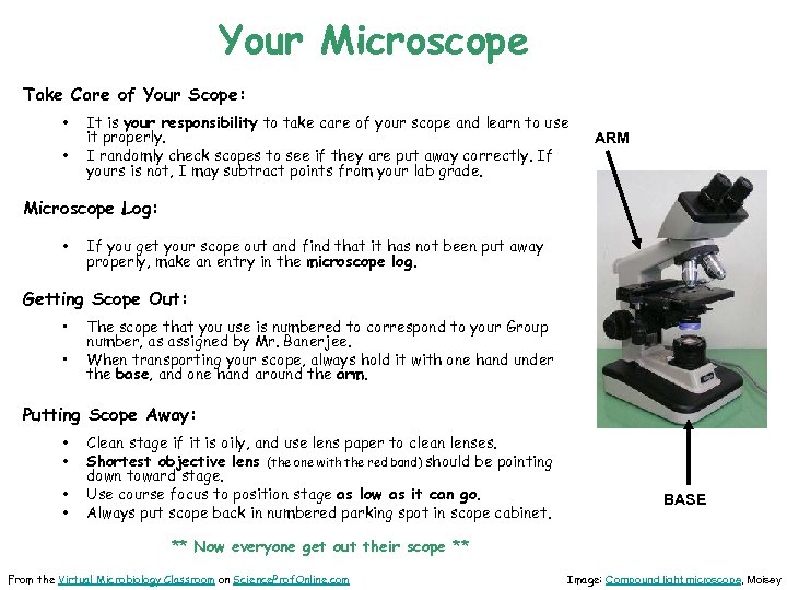 Your Microscope Take Care of Your Scope: • • It is your responsibility to