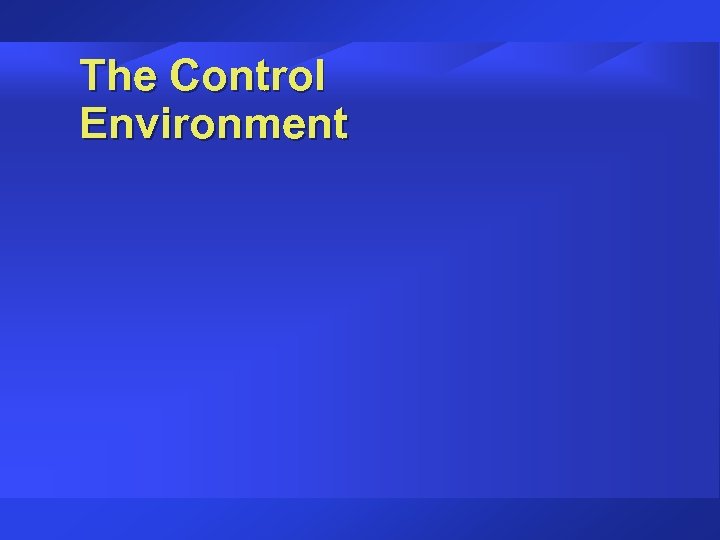The Control Environment 