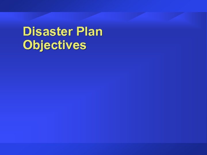 Disaster Plan Objectives 