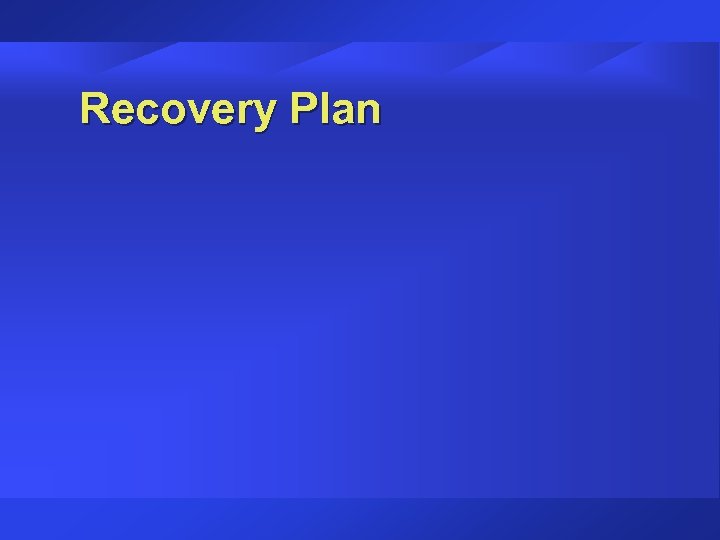Recovery Plan 