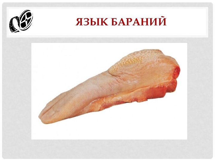 ЯЗЫК БАРАНИЙ 