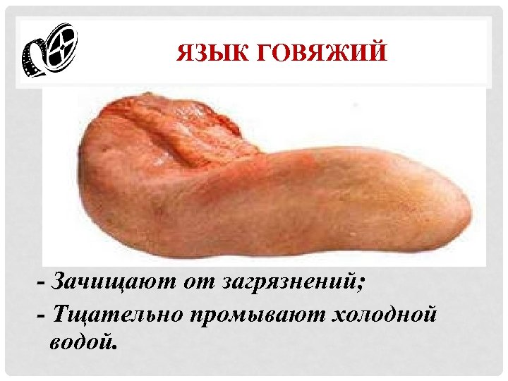 ЯЗЫК ГОВЯЖИЙ - Зачищают от загрязнений; - Тщательно промывают холодной водой. 