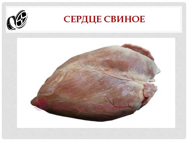 СЕРДЦЕ СВИНОЕ 