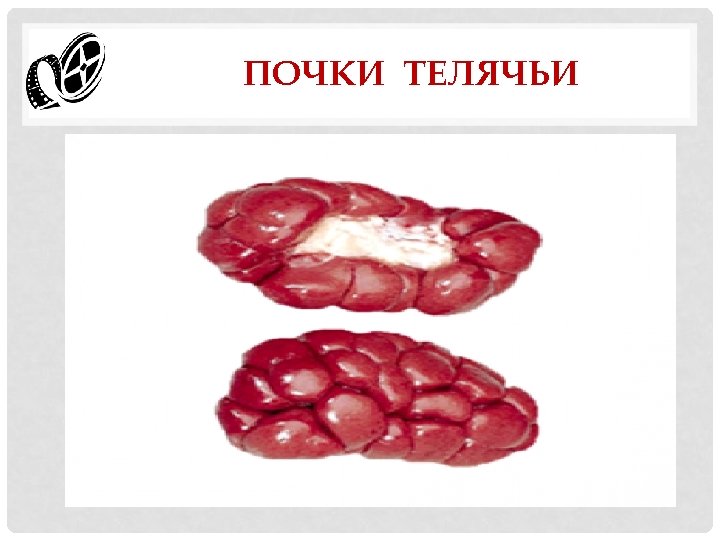 ПОЧКИ ТЕЛЯЧЬИ 