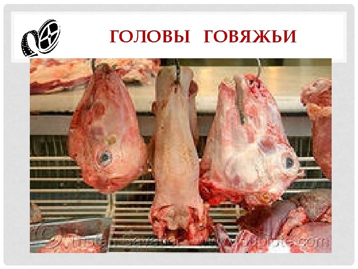 ГОЛОВЫ ГОВЯЖЬИ 