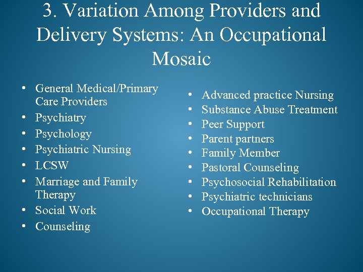 3. Variation Among Providers and Delivery Systems: An Occupational Mosaic • General Medical/Primary Care