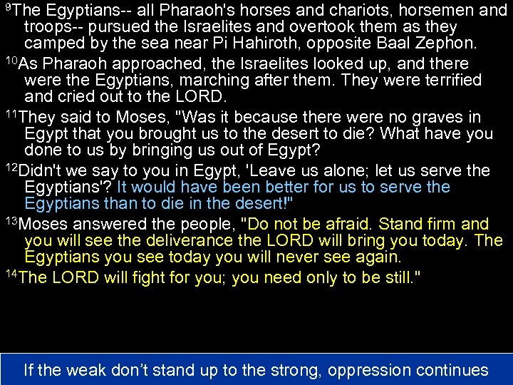 9 The Egyptians-- all Pharaoh's horses and chariots, horsemen and troops-- pursued the Israelites