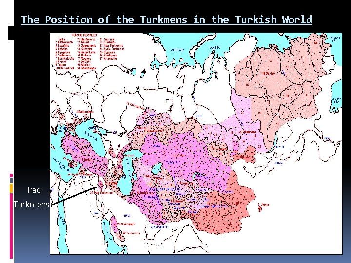 The Position of the Turkmens in the Turkish World Iraqi Turkmens 