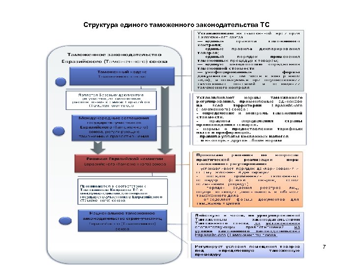 Структура единого таможенного законодательства ТС 7 