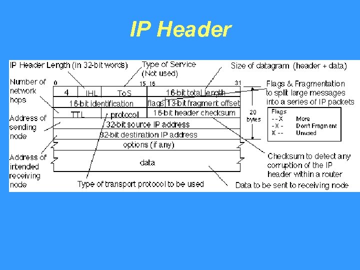 IP Header 