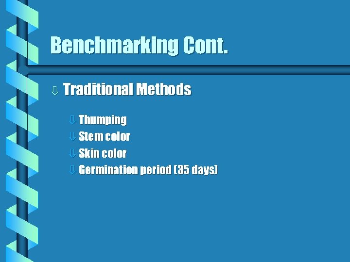 Benchmarking Cont. ò Traditional Methods ò Thumping ò Stem color ò Skin color ò