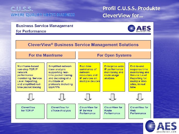 Profil C. U. S. S. Produkte Clever. View for… TCP/IP Network Route Performance Analysis