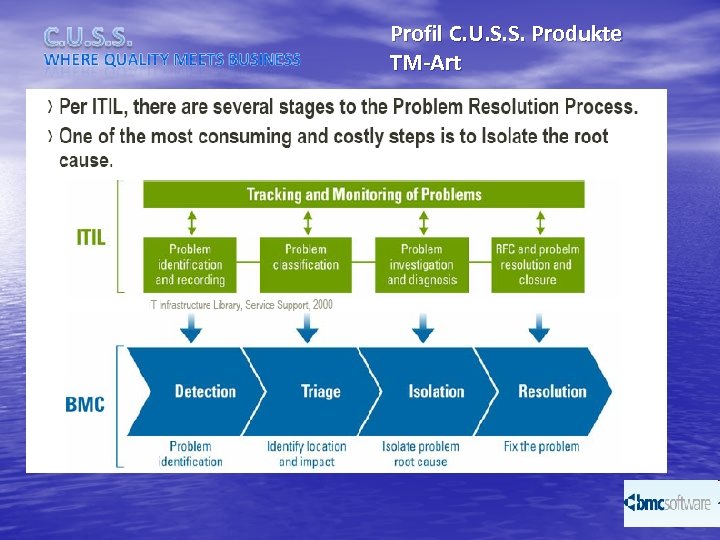 Profil C. U. S. S. Produkte TM-Art 