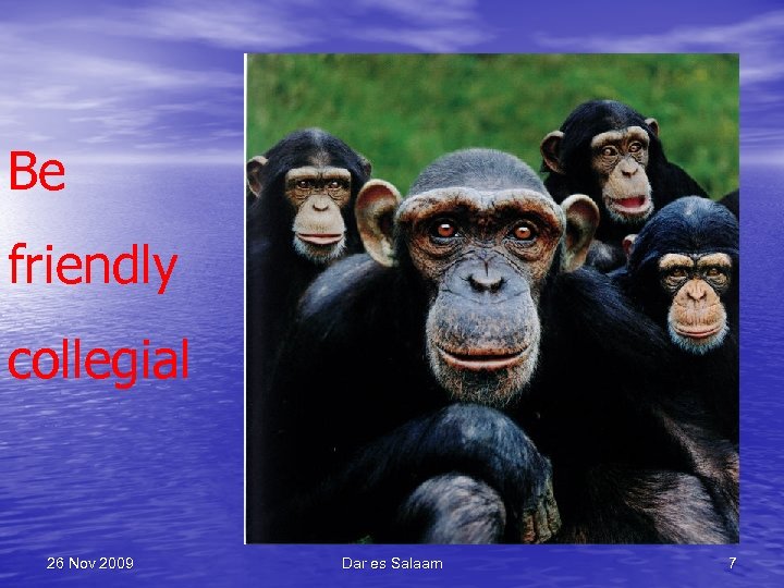 Be friendly collegial 26 Nov 2009 Dar es Salaam 7 