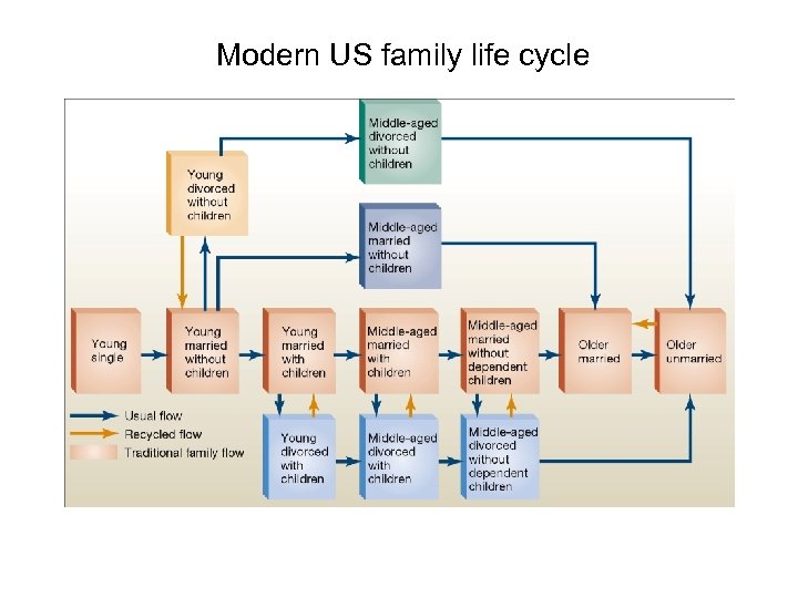 Modern US family life cycle 