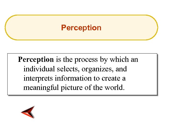 Perception is the process by which an individual selects, organizes, and interprets information to