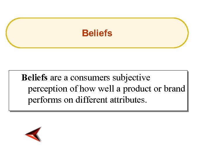 Beliefs are a consumers subjective perception of how well a product or brand performs