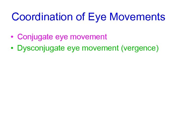 Coordination of Eye Movements • Conjugate eye movement • Dysconjugate eye movement (vergence) 