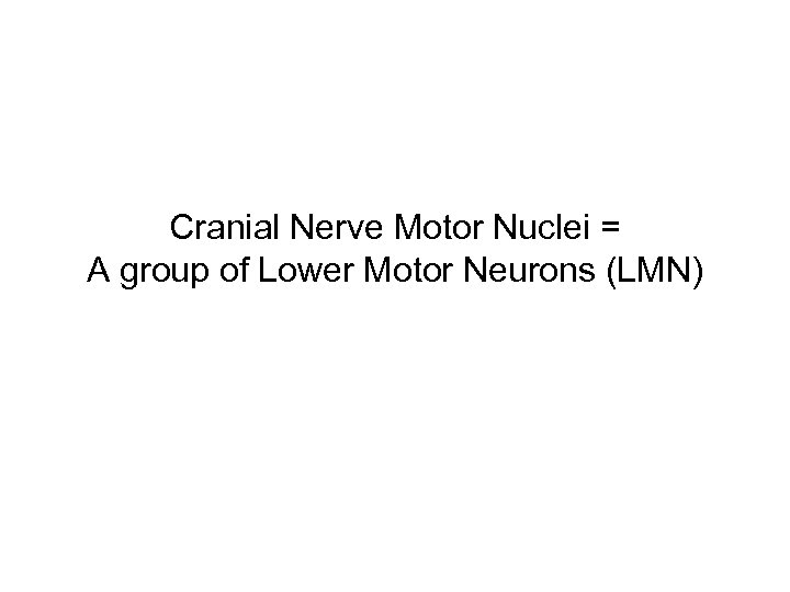 Cranial Nerve Motor Nuclei = A group of Lower Motor Neurons (LMN) 