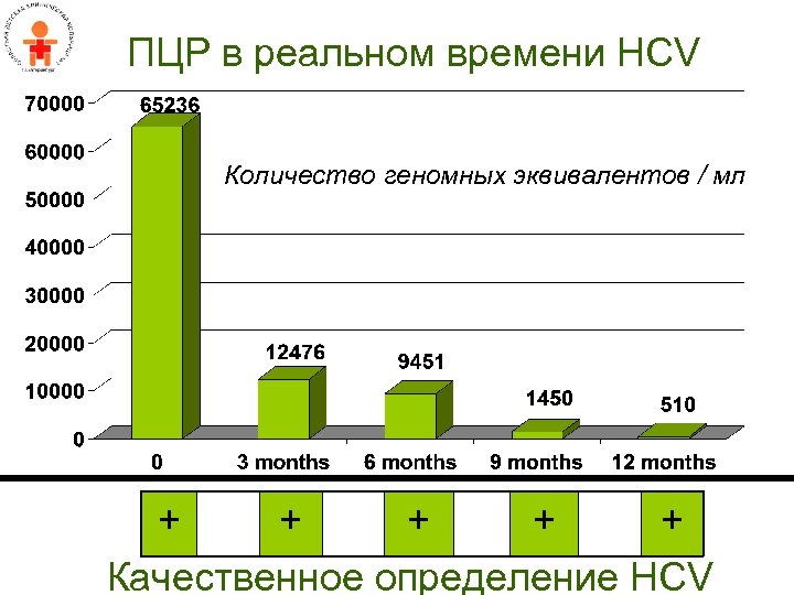 ПЦР в реальном времени HCV Количество геномных эквивалентов / мл + + + Качественное