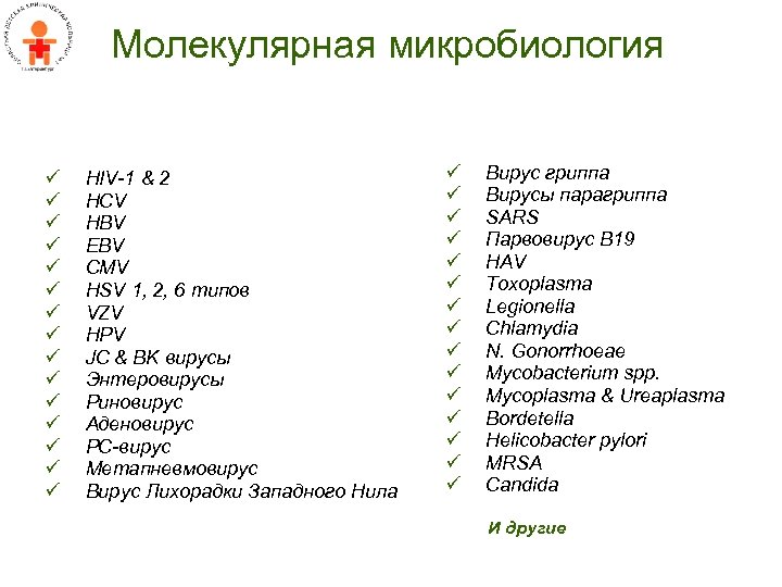 Молекулярная микробиология ü ü ü ü HIV-1 & 2 HCV HBV EBV CMV HSV