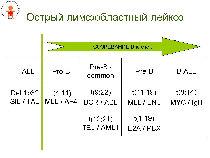 Острый лимфобластный лейкоз СОЗРЕВАНИЕ B-клеток T-ALL Pro-B Pre-B / common Pre-B B-ALL t(9; 22)