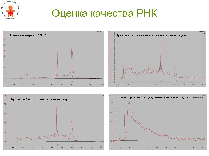 Оценка качества РНК Свежий материал RIN 8. 3 Хранение 1 день, комнатная температура Транспортировка