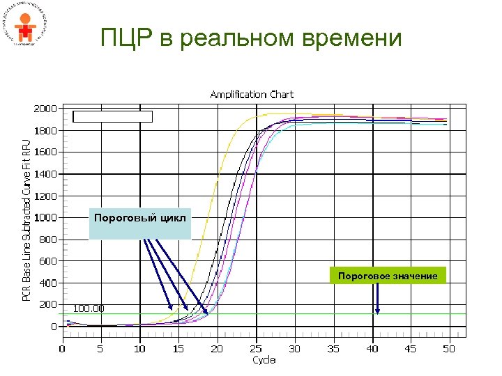 ПЦР в реальном времени Пороговый цикл Пороговое значение 