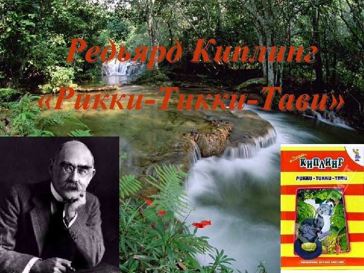 Редьярд Киплинг «Рикки-Тави» 