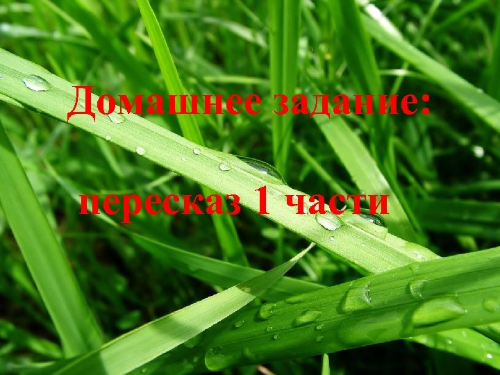 Домашнее задание: пересказ 1 части 