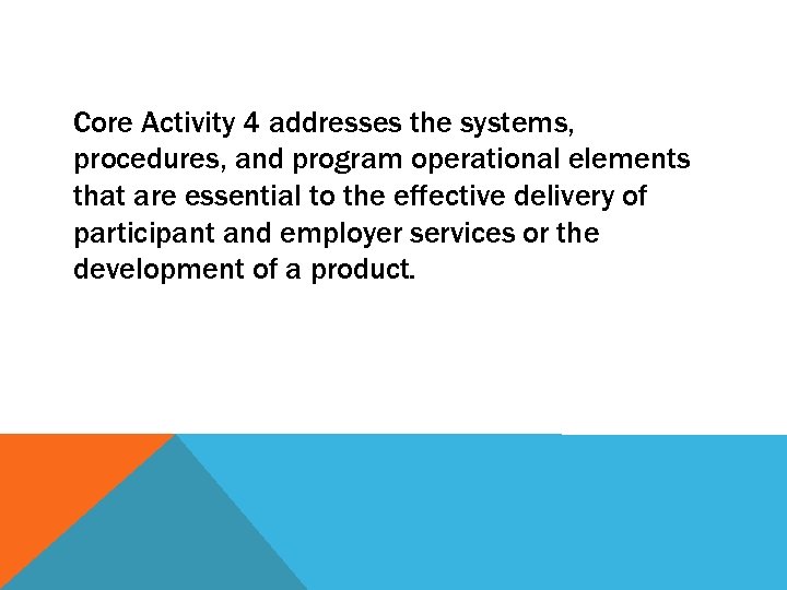 Core Activity 4 addresses the systems, procedures, and program operational elements that are essential