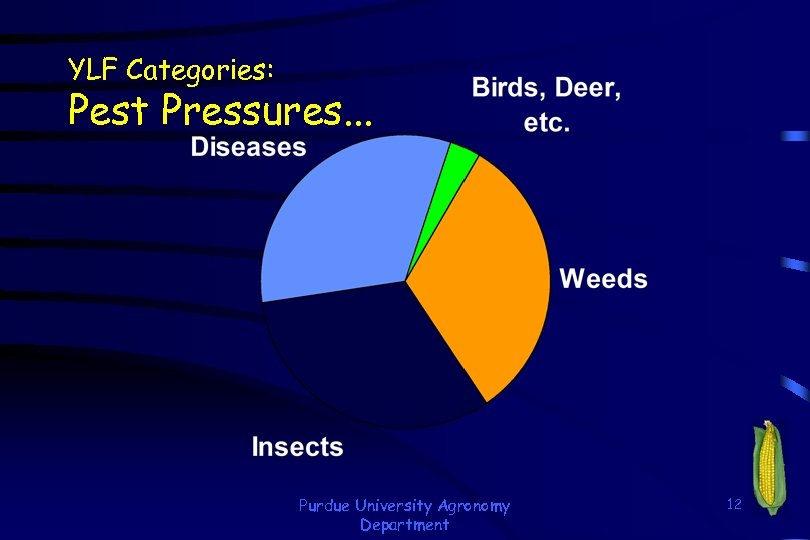 YLF Categories: Pest Pressures. . . Purdue University Agronomy Department 12 