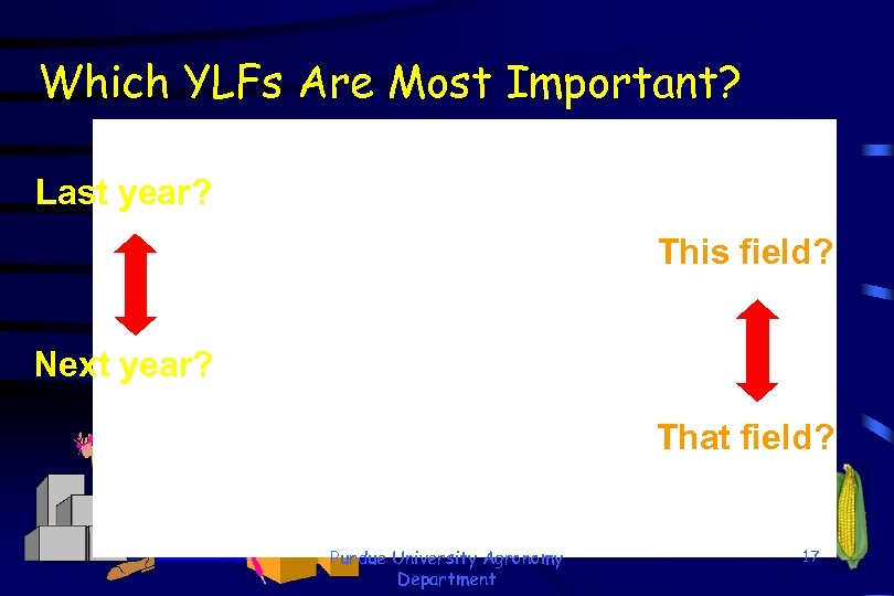 Which YLFs Are Most Important? Last year? This field? Next year? That field? Purdue