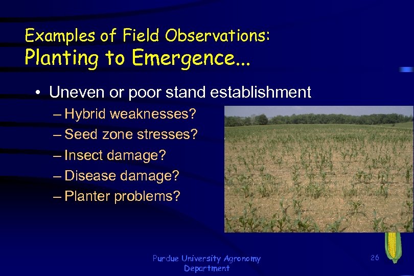 Examples of Field Observations: Planting to Emergence. . . • Uneven or poor stand