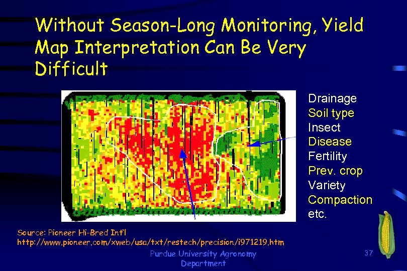 Without Season-Long Monitoring, Yield Map Interpretation Can Be Very Difficult Drainage Soil type Insect