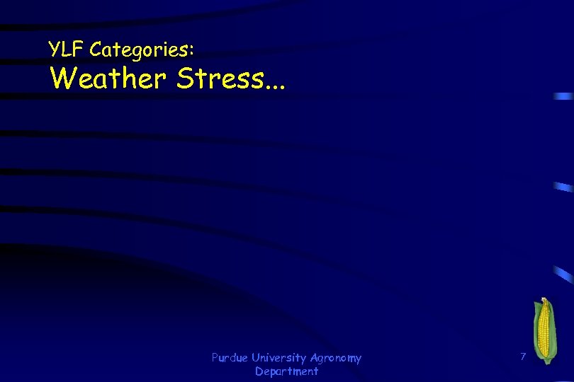 YLF Categories: Weather Stress. . . Purdue University Agronomy Department 7 