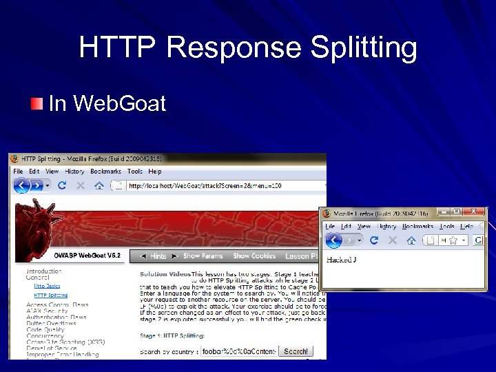 HTTP Response Splitting In Web. Goat 