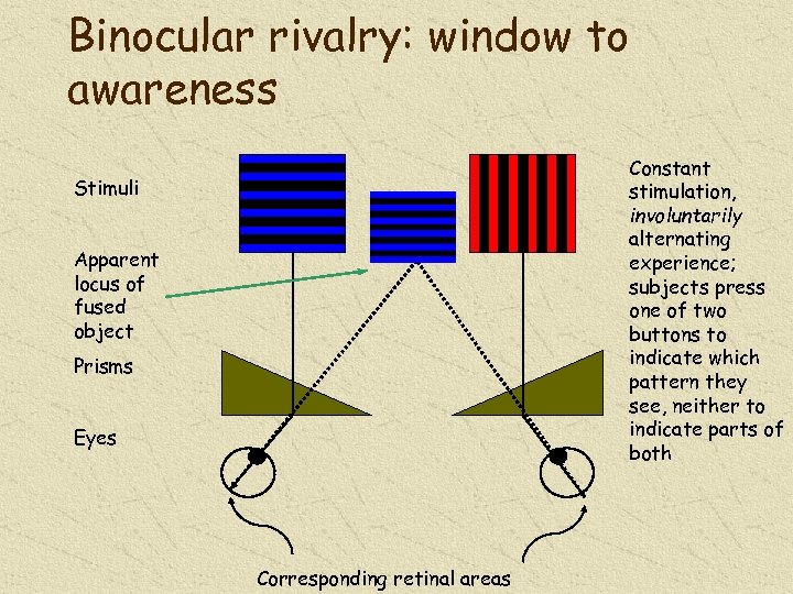Binocular rivalry: window to awareness Constant stimulation, involuntarily alternating experience; subjects press one of