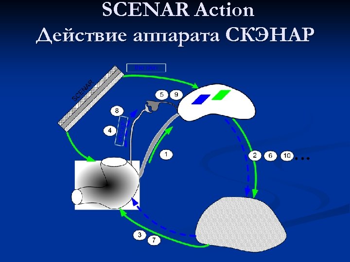 SCENAR Action Действие аппарата СКЭНАР 