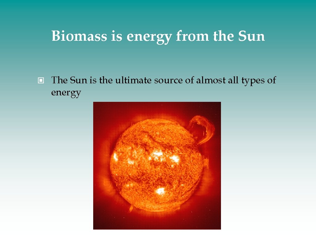 Biomass is energy from the Sun The Sun is the ultimate source of almost